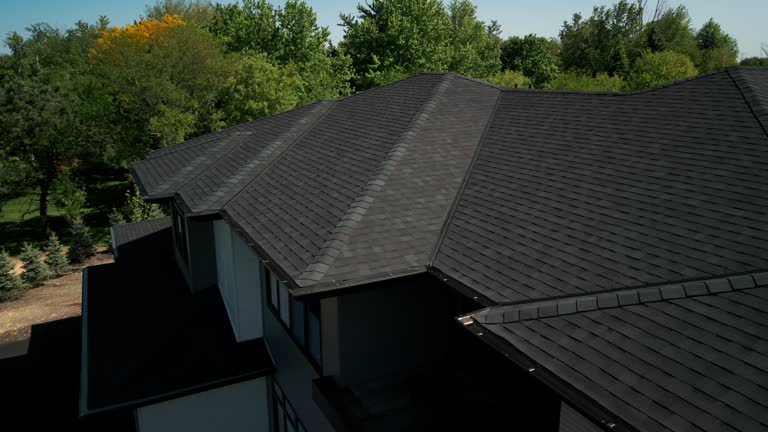 Best Roof Coating and Sealing  in Romulus, MI